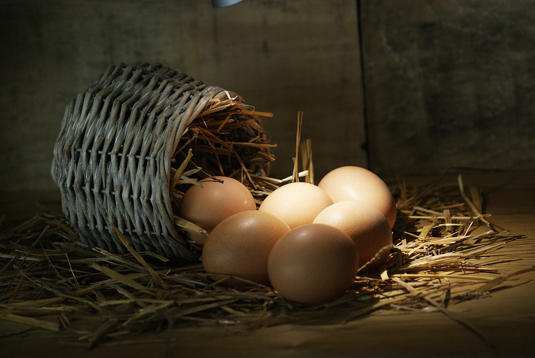 Eggs Spilling from a Basket